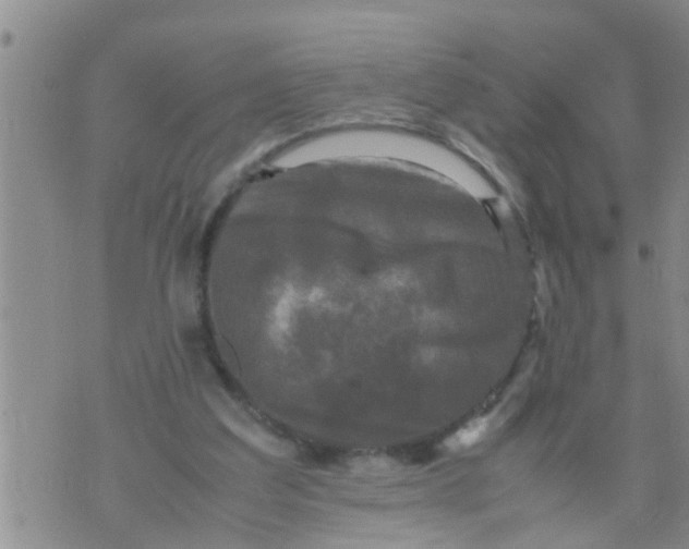 X0000070250203200606232016