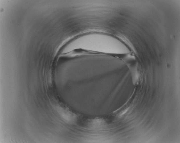 X0000070250204200606232016