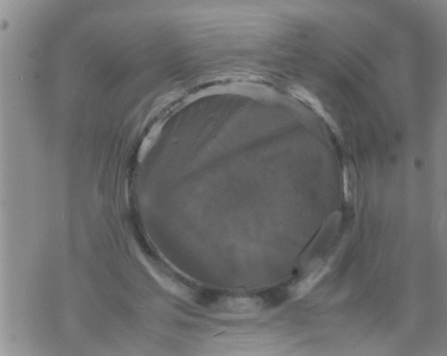 X0000070250205200606232016