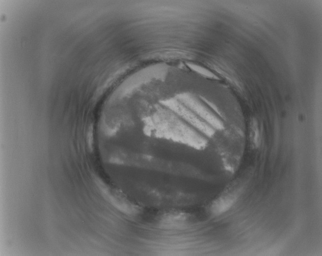 X0000070250206200606232016