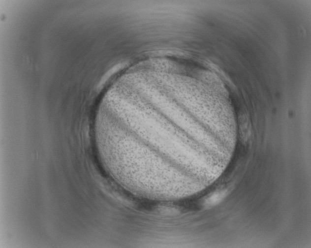 X0000070250207200606232016