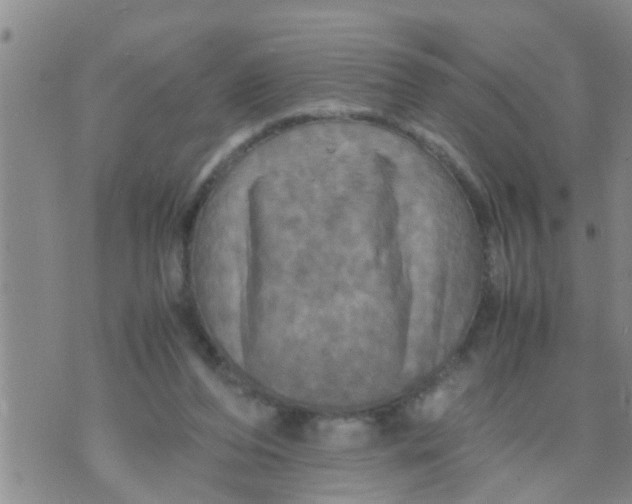 X0000070250208200606232016