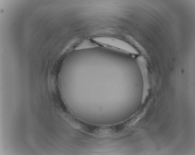 X0000070250209200606232016