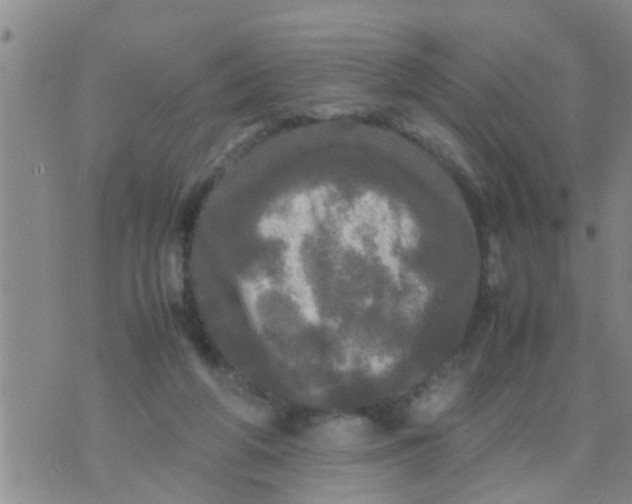 X0000070250210200606232016