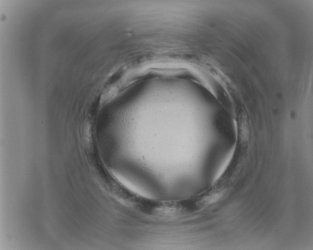 X0000070250211200606232016