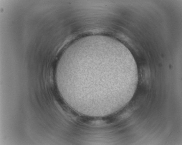 X0000070250212200606232016