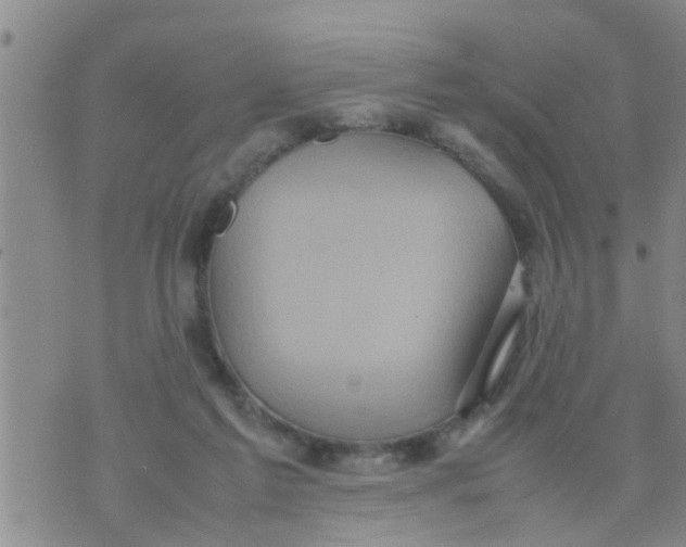 X0000070250213200606232016