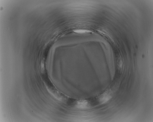 X0000070250214200606232016