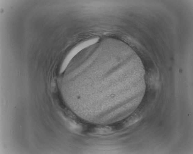 X0000070250215200606232016