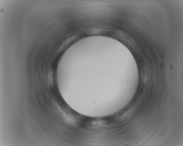 X0000070250216200606232016