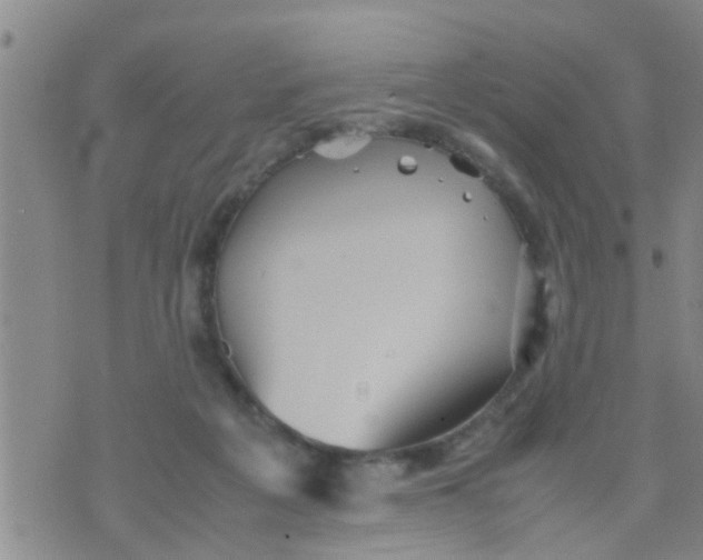 X0000070250217200606232016