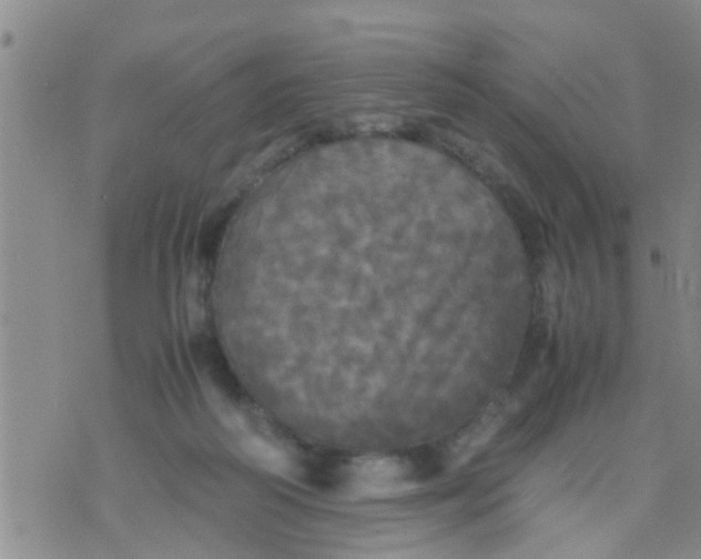 X0000070250218200606232016