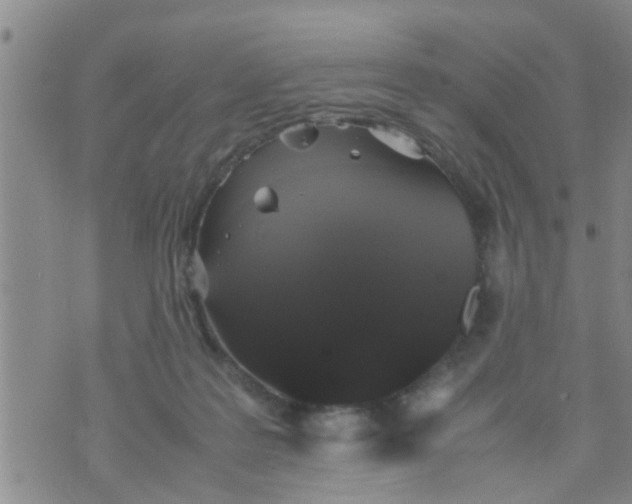 X0000070250219200606232016