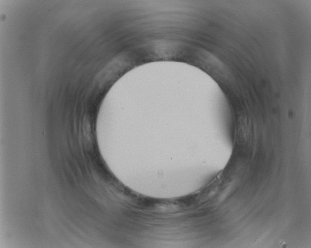 X0000070250220200606232016