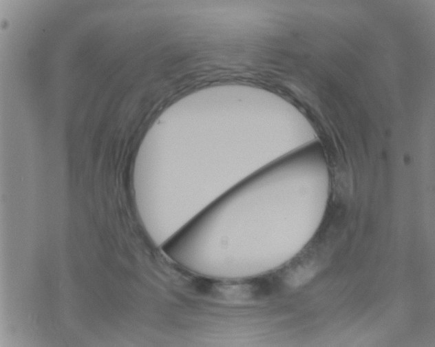 X0000070250221200606232016