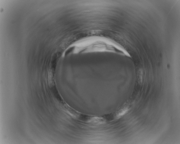 X0000070250222200606232016