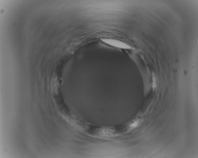 X0000070250223200606232016