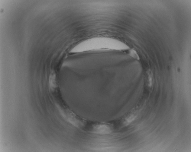 X0000070250224200606232016