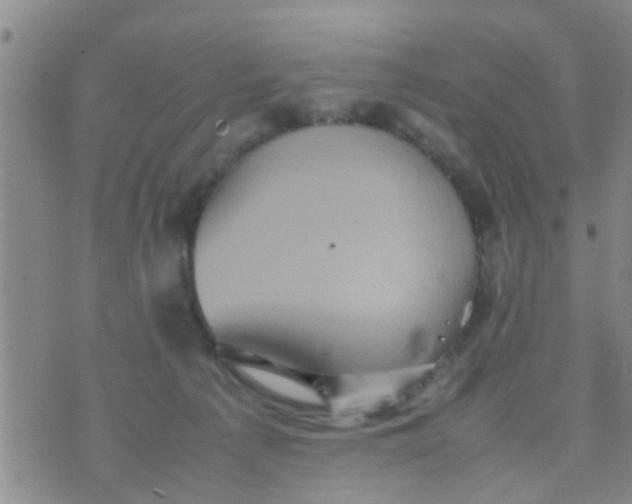 X0000070250225200606232016