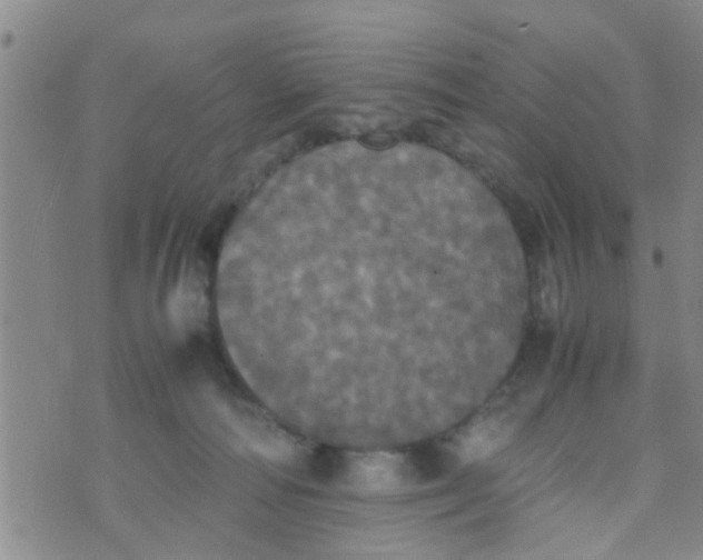 X0000070250226200606232016