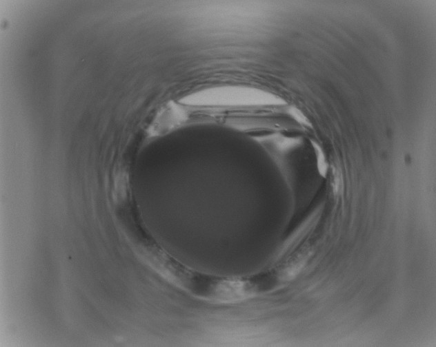 X0000070250227200606232016