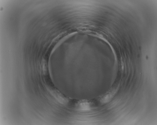 X0000070250228200606232016