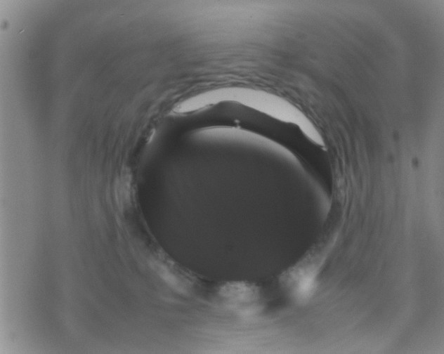 X0000070250231200606232016