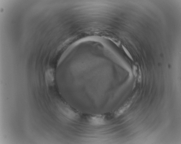 X0000070250232200606232016