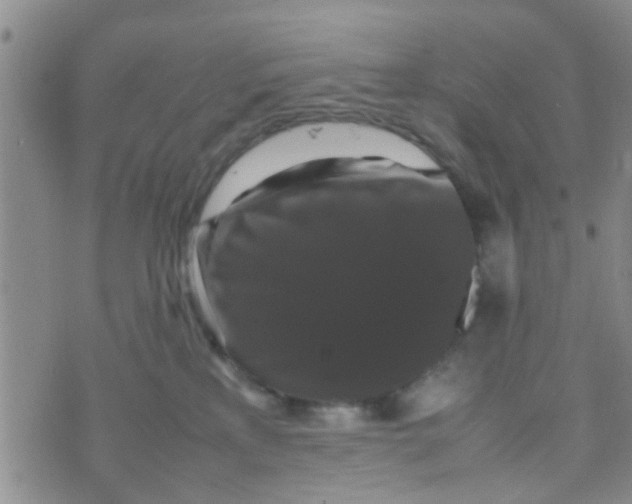 X0000070250233200606232016