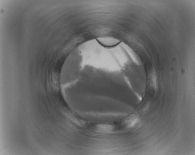 X0000070250234200606232016