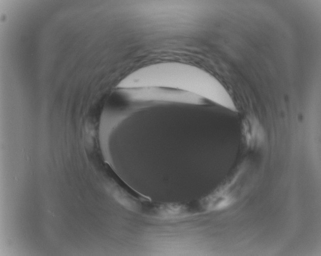 X0000070250235200606232015