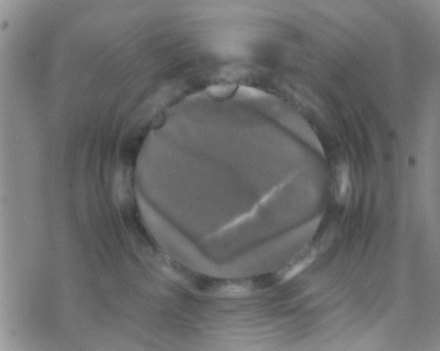 X0000070250236200606232015