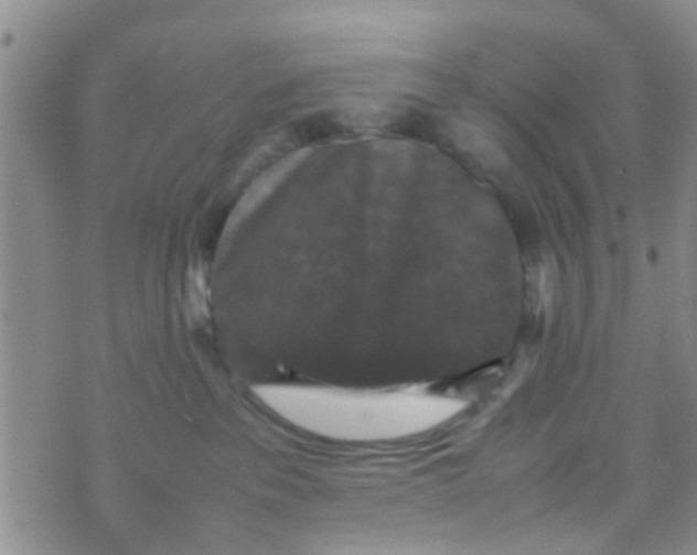 X0000070250237200606232015