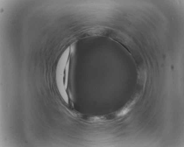 X0000070250239200606232015