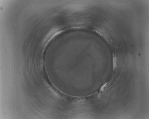 X0000070250243200606232015