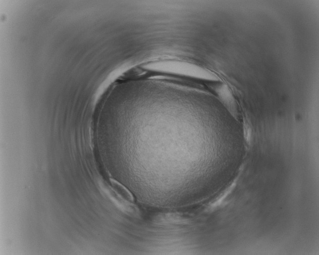 X0000070250244200606232015