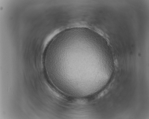 X0000070250248200606232015