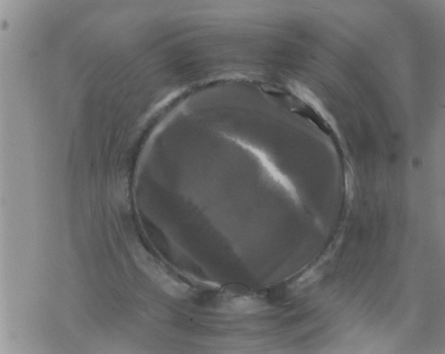 X0000070250249200606232015