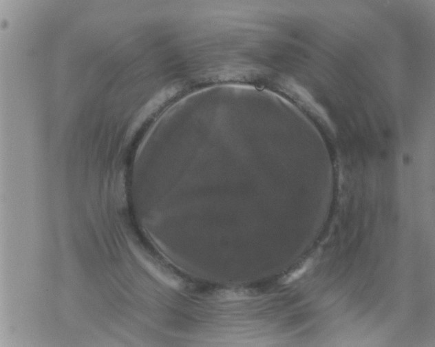 X0000070250250200606232015