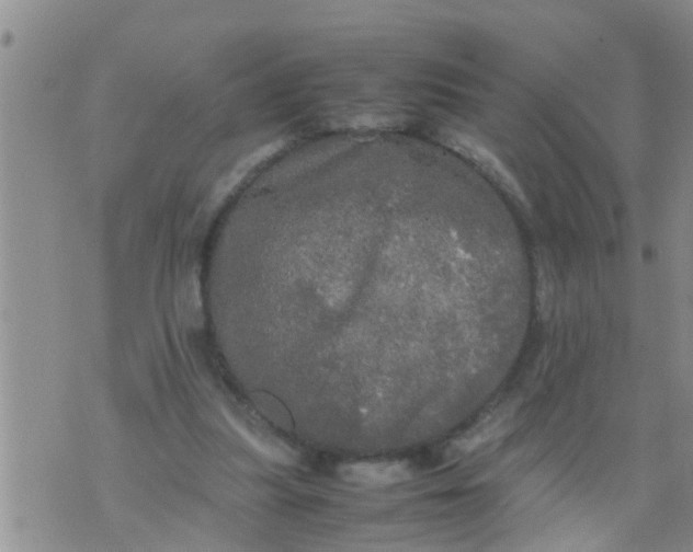 X0000070250251200606232015