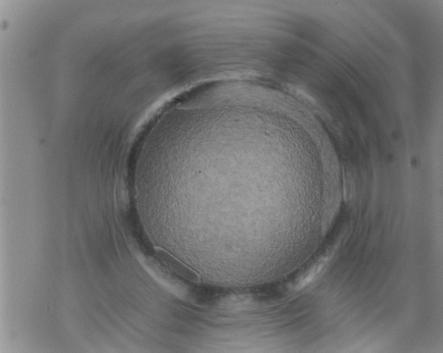 X0000070250252200606232015