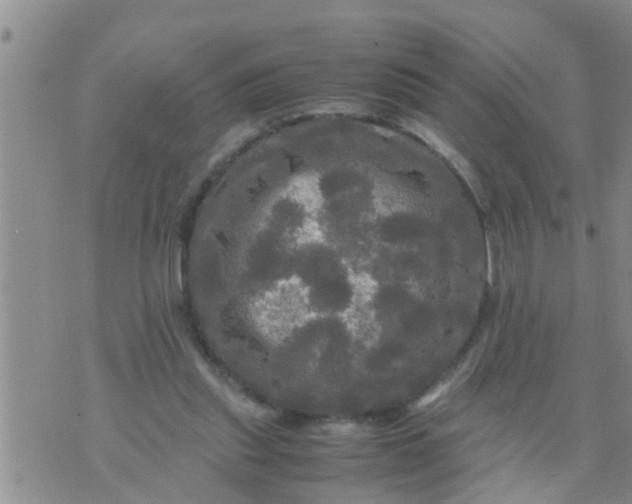 X0000070250253200606232015