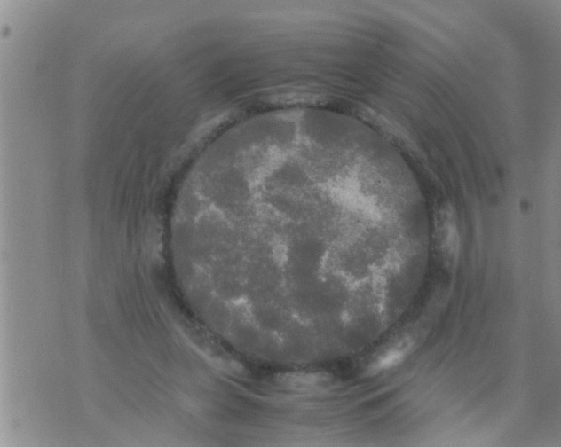 X0000070250255200606232015