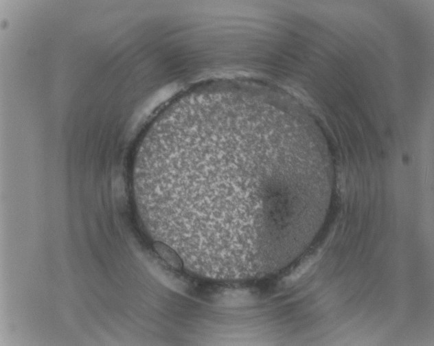 X0000070250256200606232015