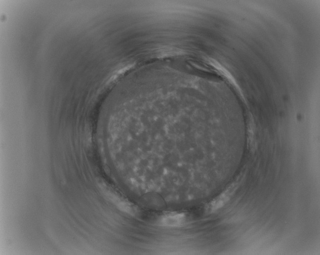 X0000070250257200606232015