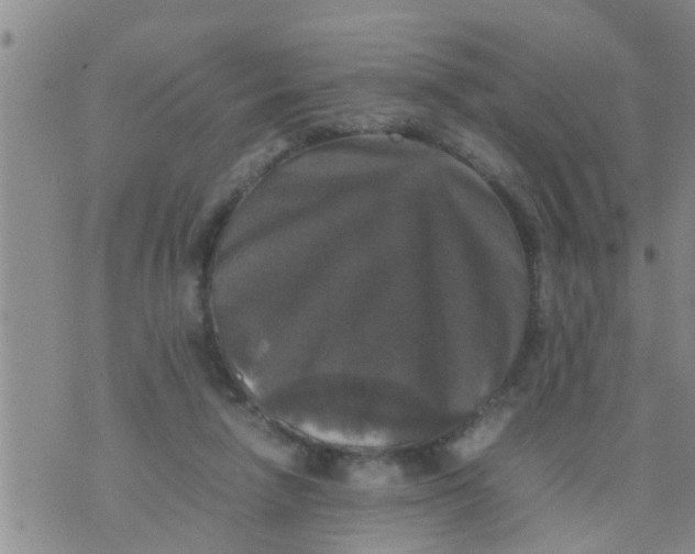 X0000070250258200606232015