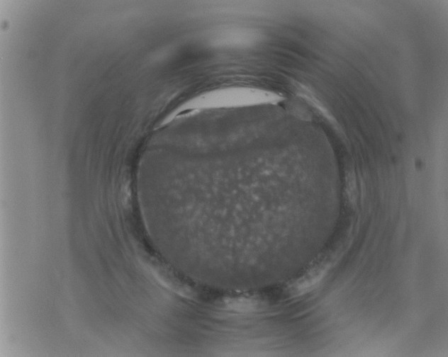 X0000070250259200606232015