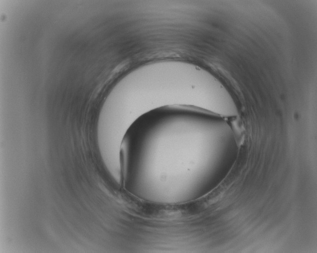 X0000070250260200606232015