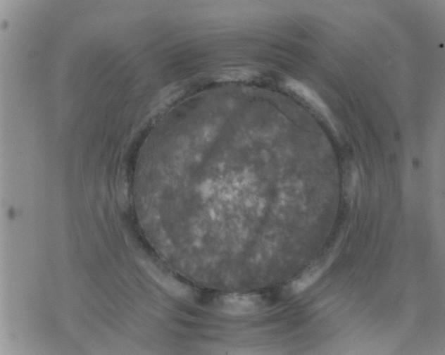 X0000070250261200606232015