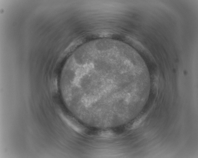 X0000070250262200606232015